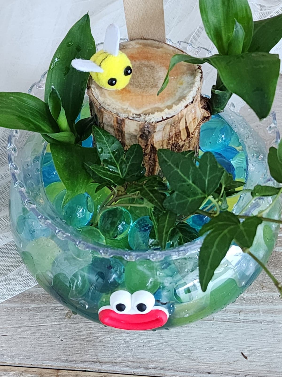 행운목 수경재배 4