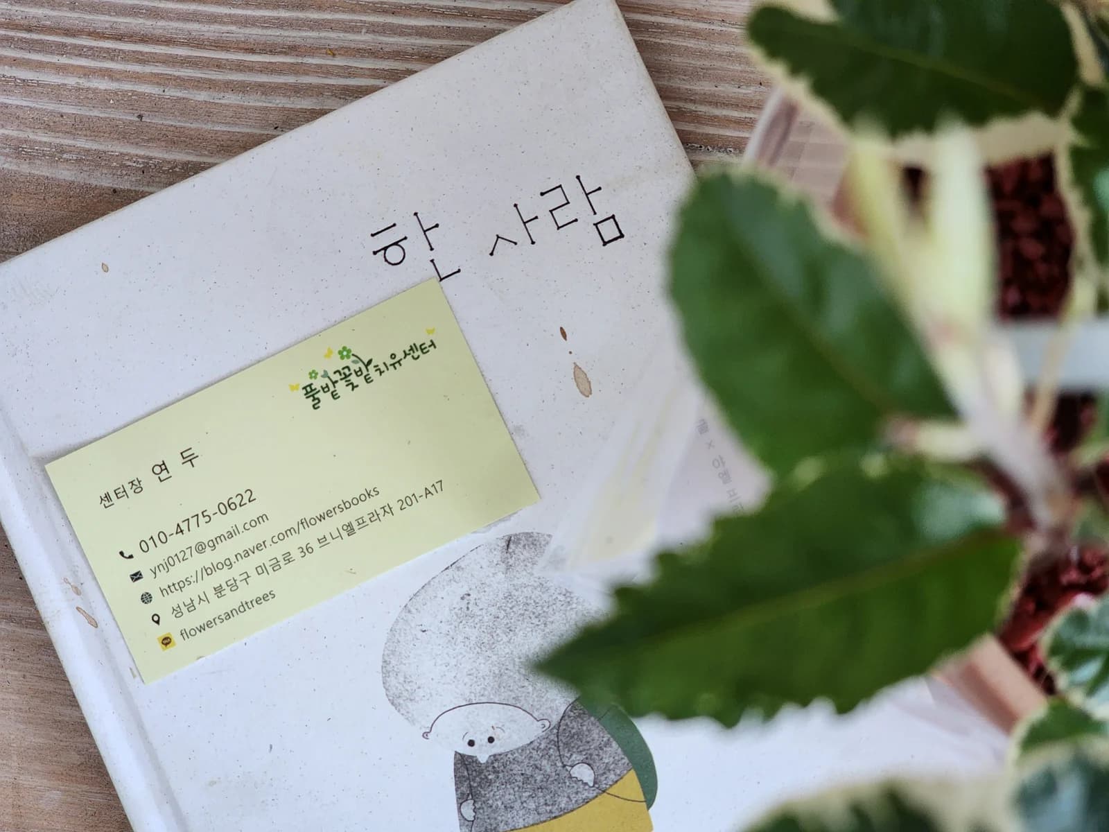 토분 식물심기 2